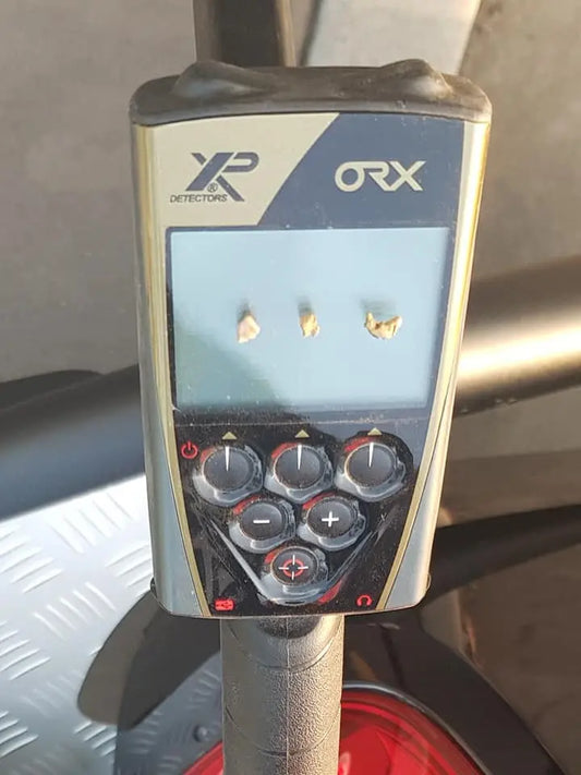 XP ORX Metal Detector for Gold, Coin and Relic LionOx Distribution (XPAU)