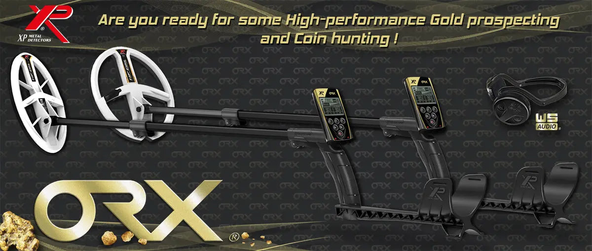 XP ORX Metal Detector for Gold, Coin and Relic LionOx Distribution (XPAU)