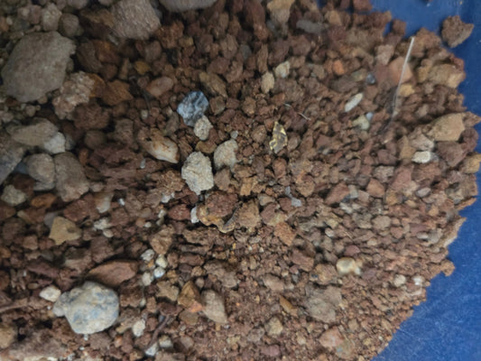 Gold pan at Home with Aussie Detectorist Guaranteed Gold Paydirt Bag Aussie Detectorist pty ltd - Shopify Register