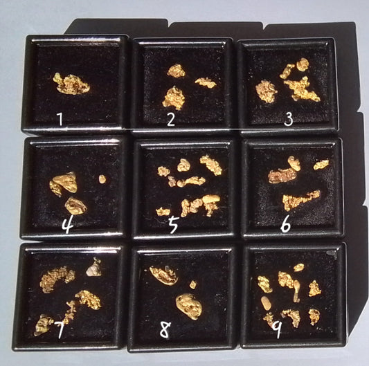 1 Gram of Natural Australian Gold
